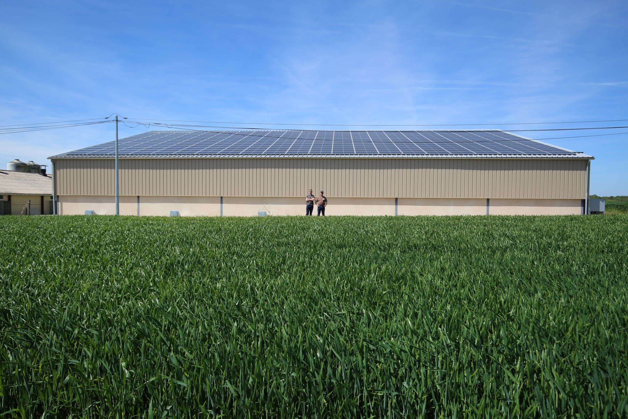 Hangar et autoconsommation