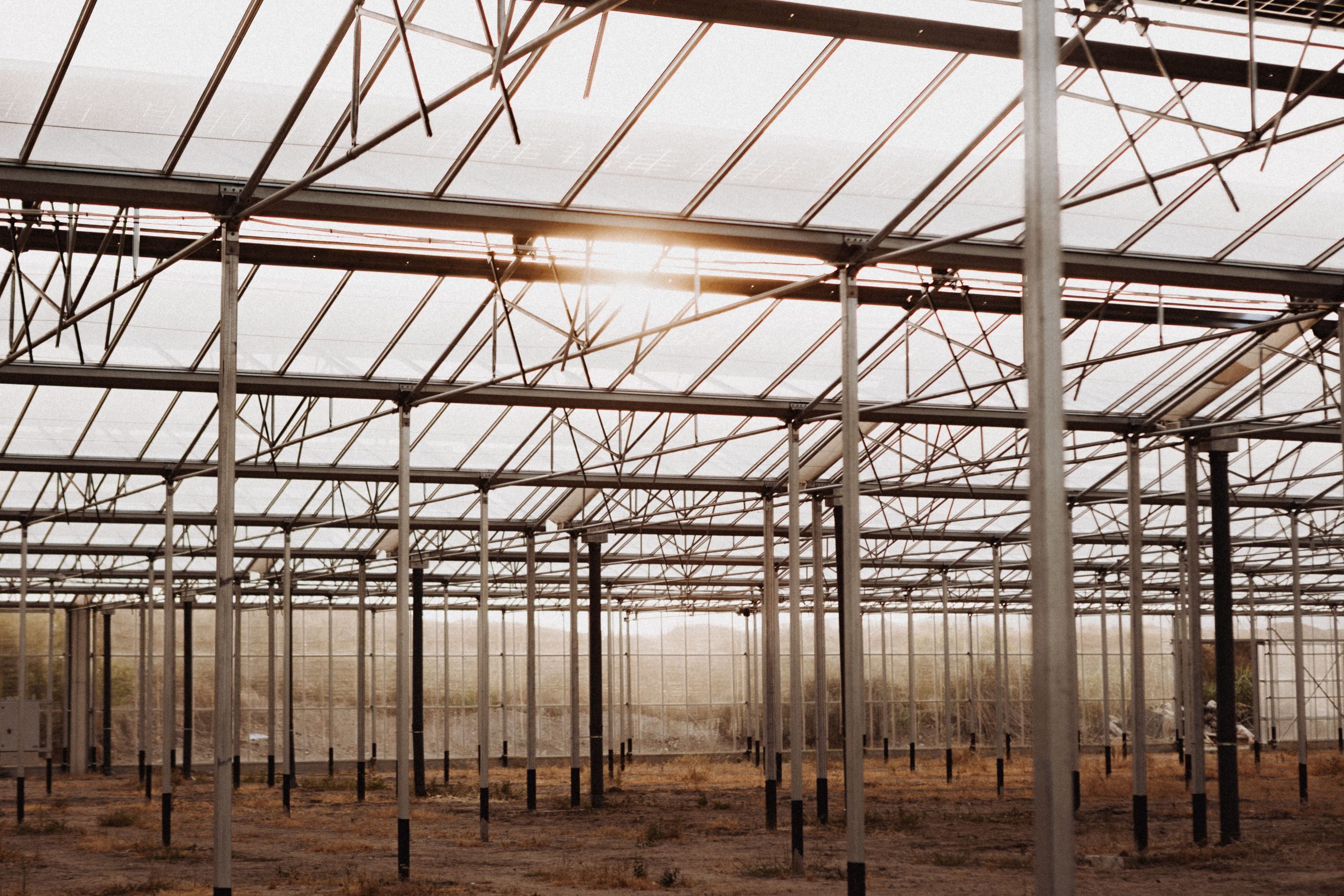 Intérieur d’une serre vide avec structure métallique