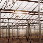 Serre photovoltaïque