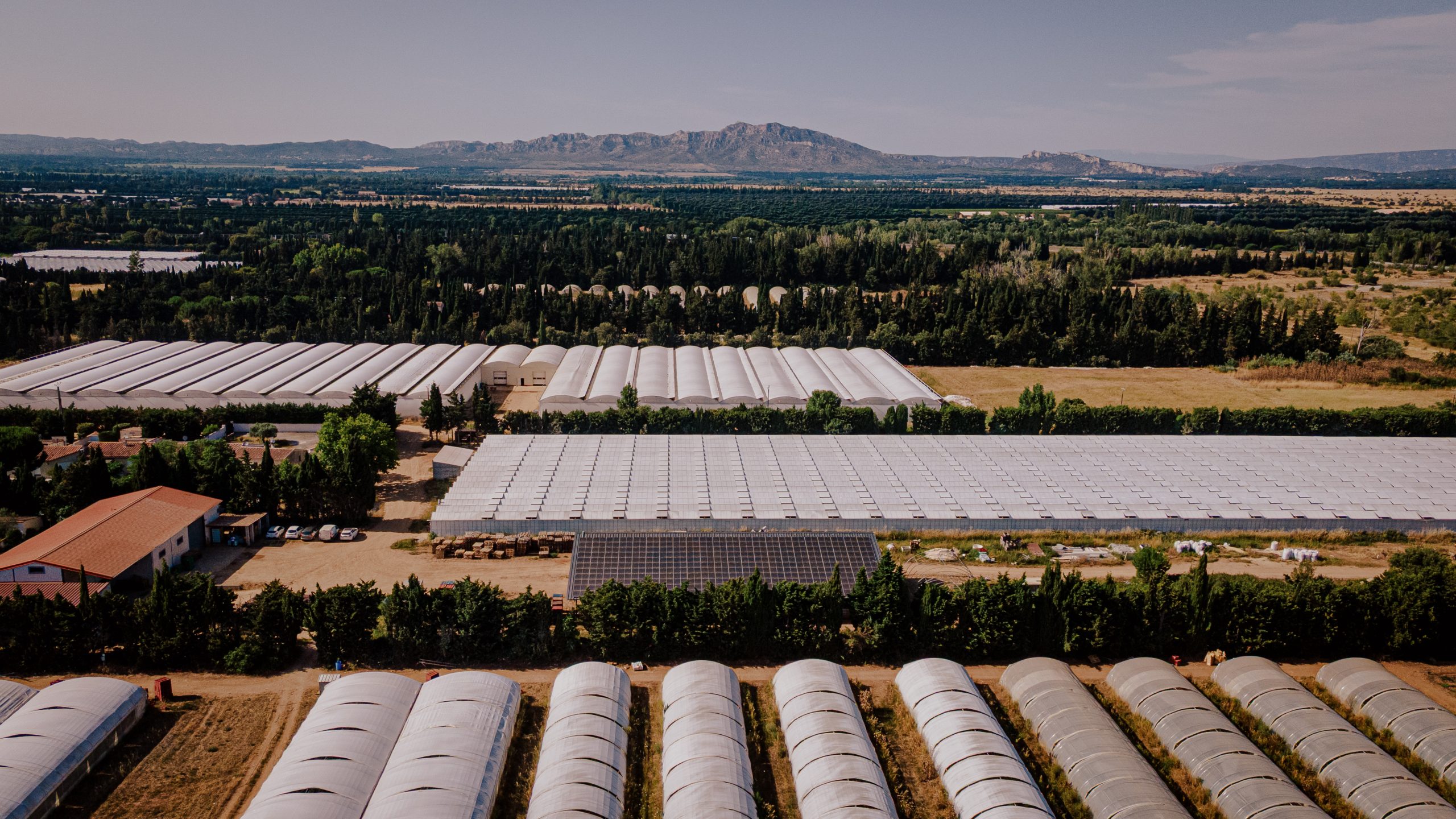 Vue aérienne de serres agricoles alignées,