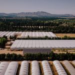 Hangar photovoltaïque