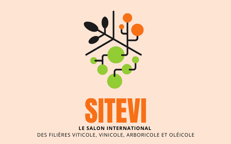 Salon Sitevi