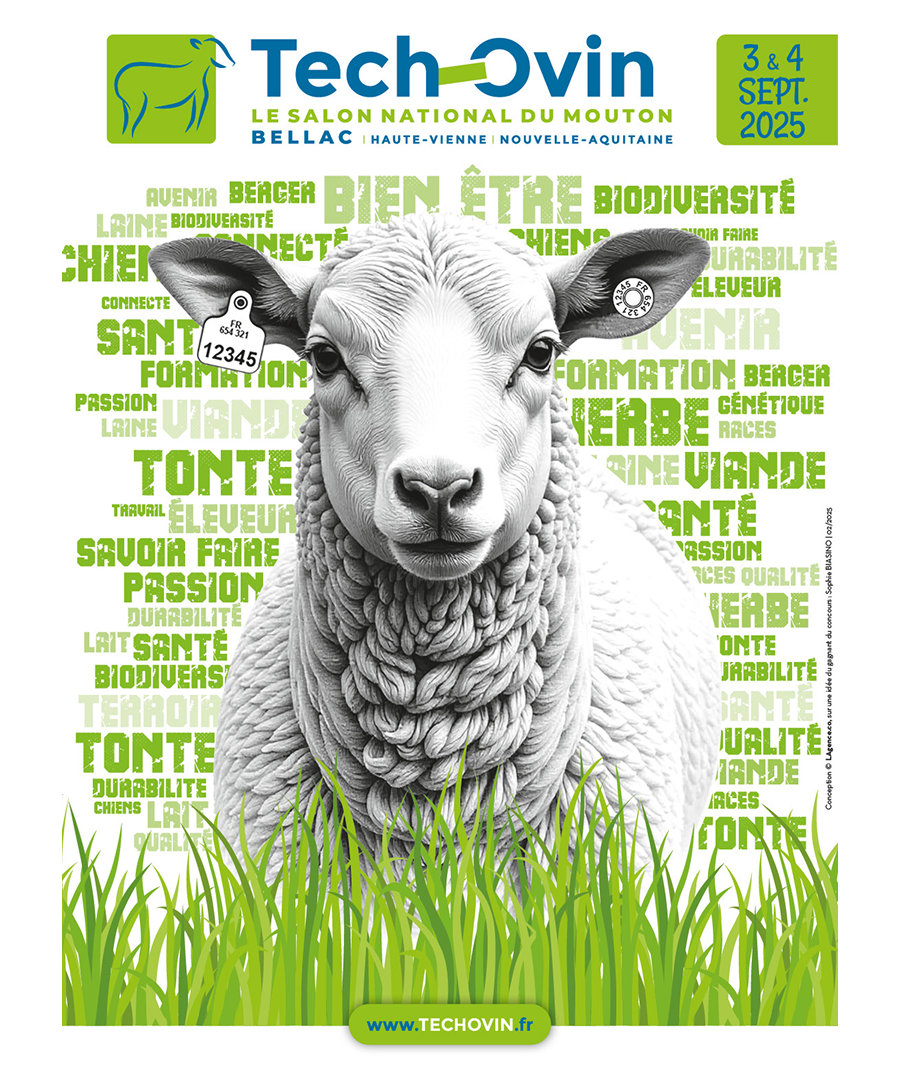 Salon Tech Ovins