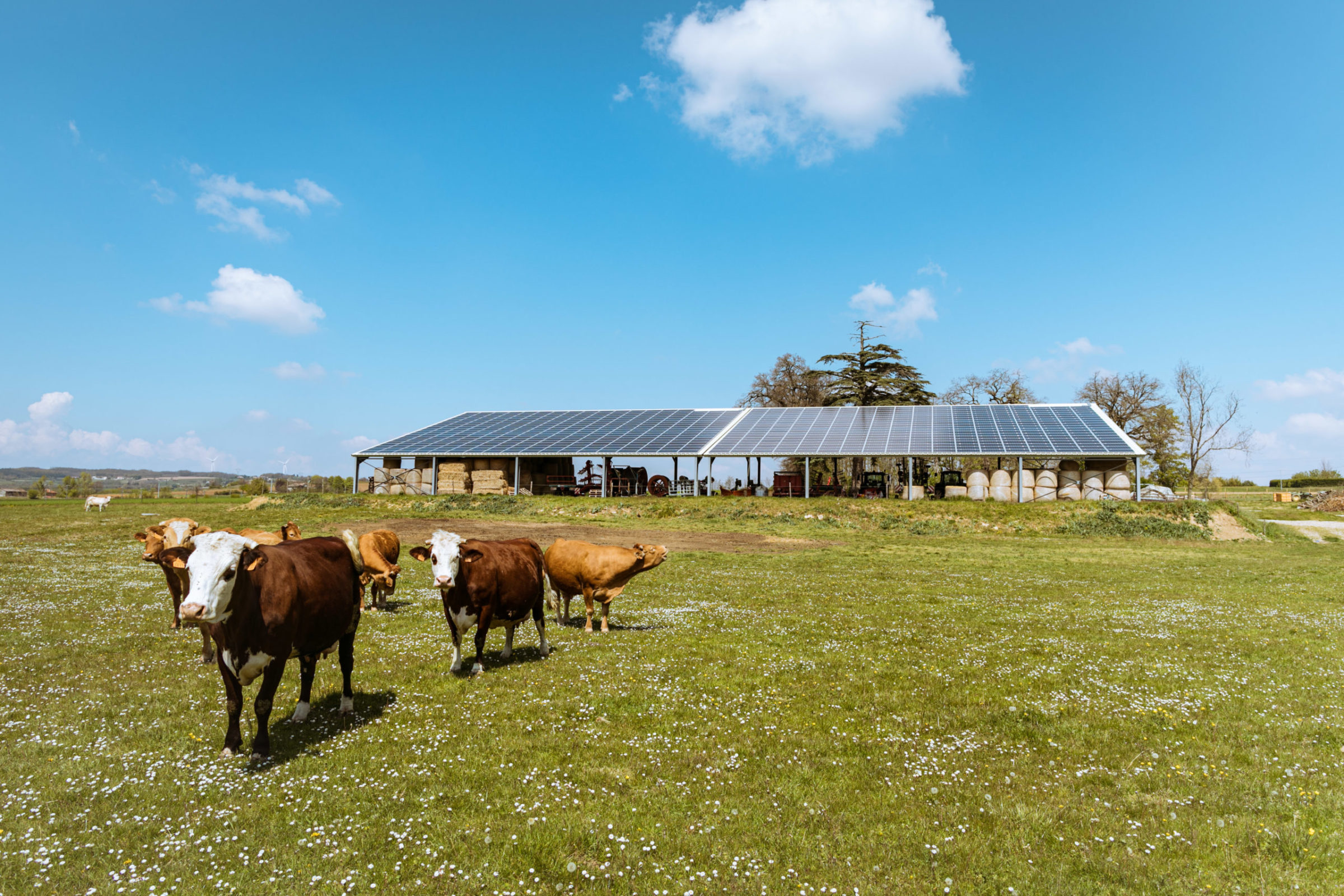 La toiture agricole du hangars solaire de Luc
