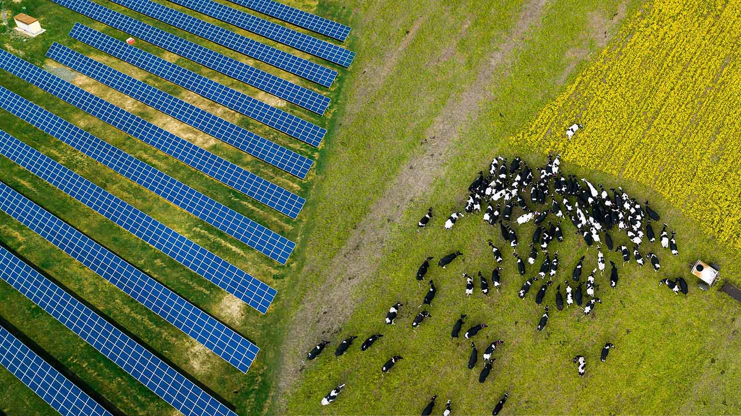 Bâtiment photovoltaïque - IRISOLARIS - modernisez votre activité