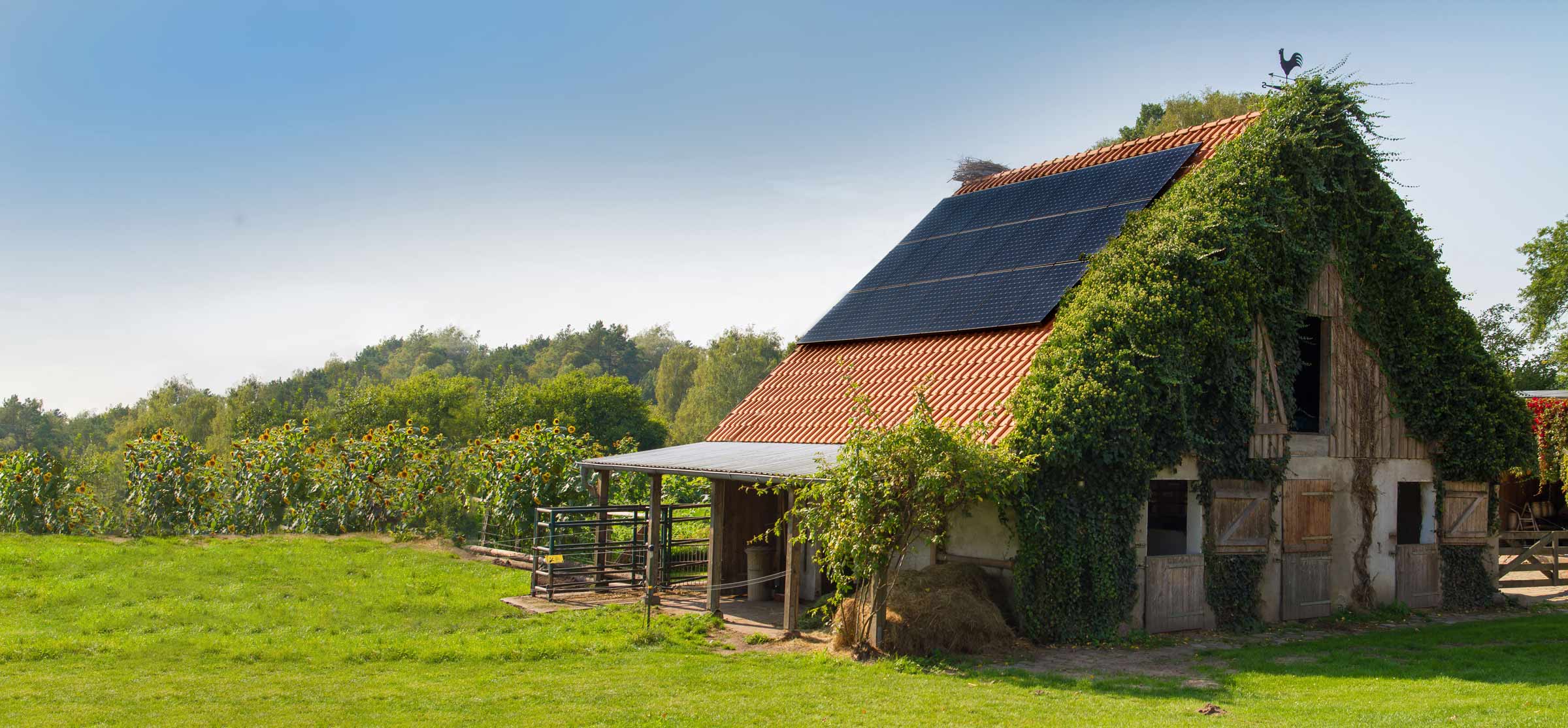 Hangar agricole photovoltaïque Irisolaris / Gensac (82) - CANCÉ