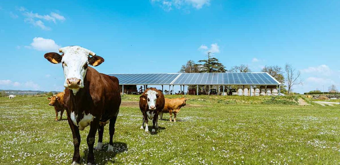 hangars agricole irisolaris