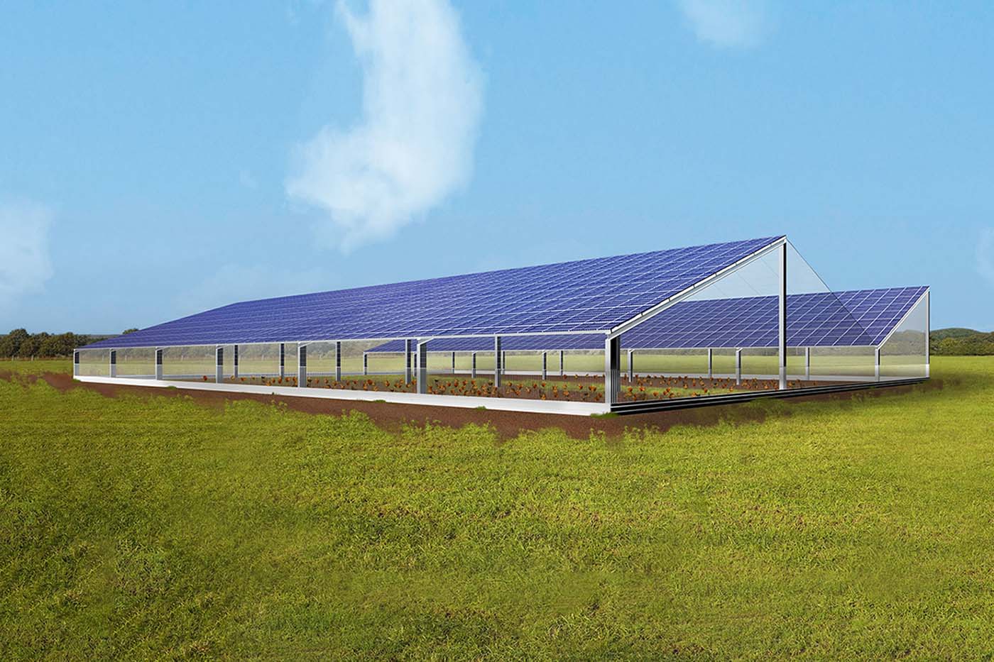 Bâtiment agricole photovoltaïque - Weber/EDF AURIBAIL (31) - CANCÉ